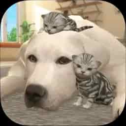 with My Buddy