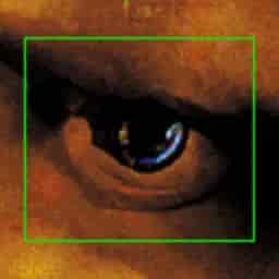 FACEMINER