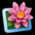 LilyView