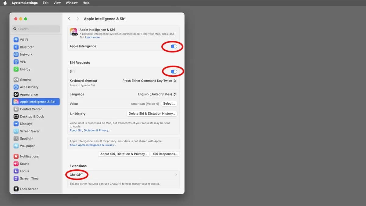 استفاده از اسلایدرها برای فعال یا غیرفعال کردن Apple Intelligence و Siri