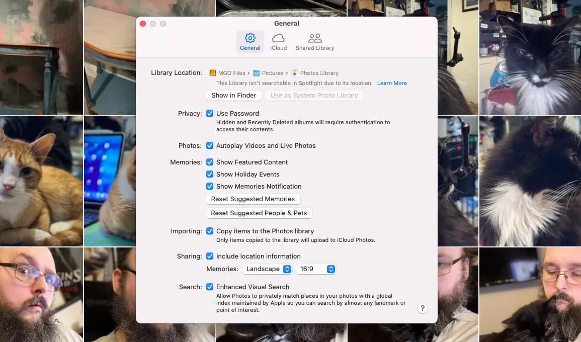 نمای تنظیمات کتابخانه عکس در macOS همراه با تصاویر گربه و مرد ریش‌دار