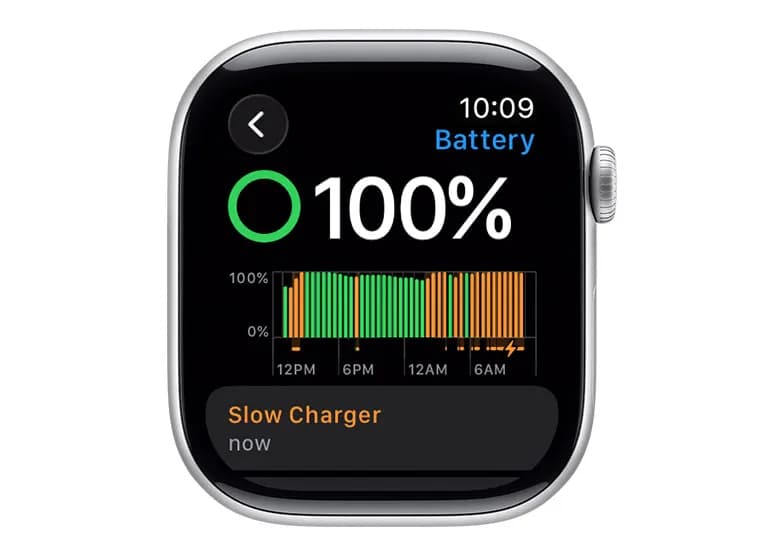 نمایی از تنظیمات هشدار شارژر کند در Apple Watch