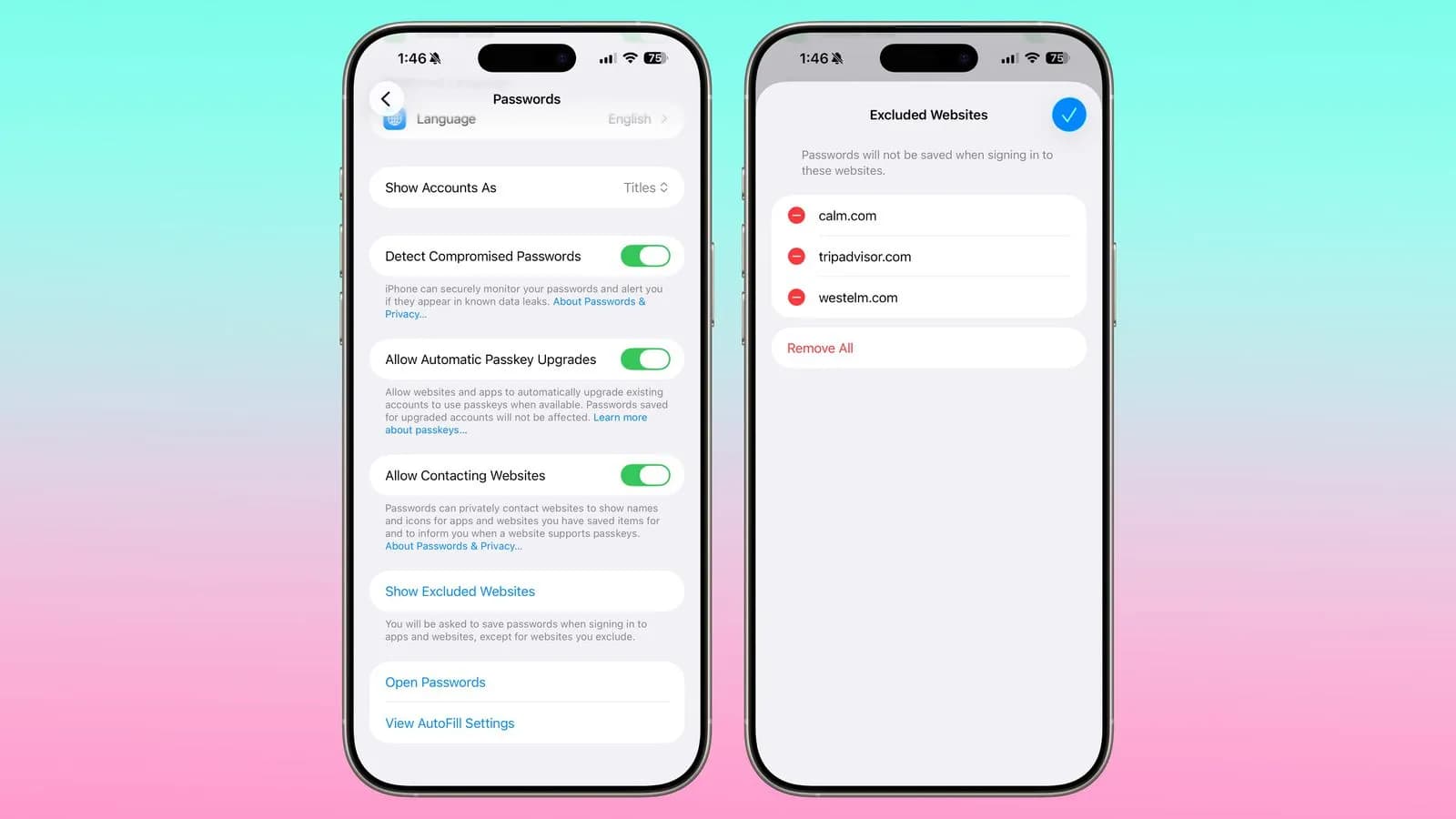 مدیریت سایت‌های بدون ذخیره رمز در iOS 26.2