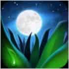 Relax Melodies