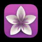 Vellum