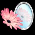 PhotoReflector