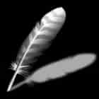 Wing Pro