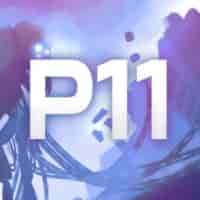PROTOCOL 11
