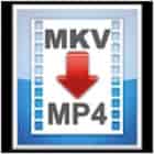 MKV2MP4