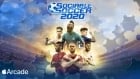 Sociable Soccer