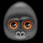 Debookee