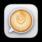 Lungo
