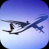Mini Airways