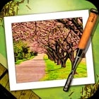 JixiPix Moku Hanga