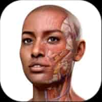 Complete Anatomy
