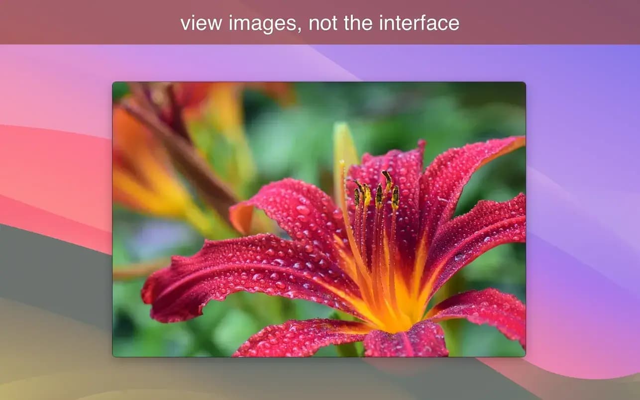 اسکرینشات 1 LilyView