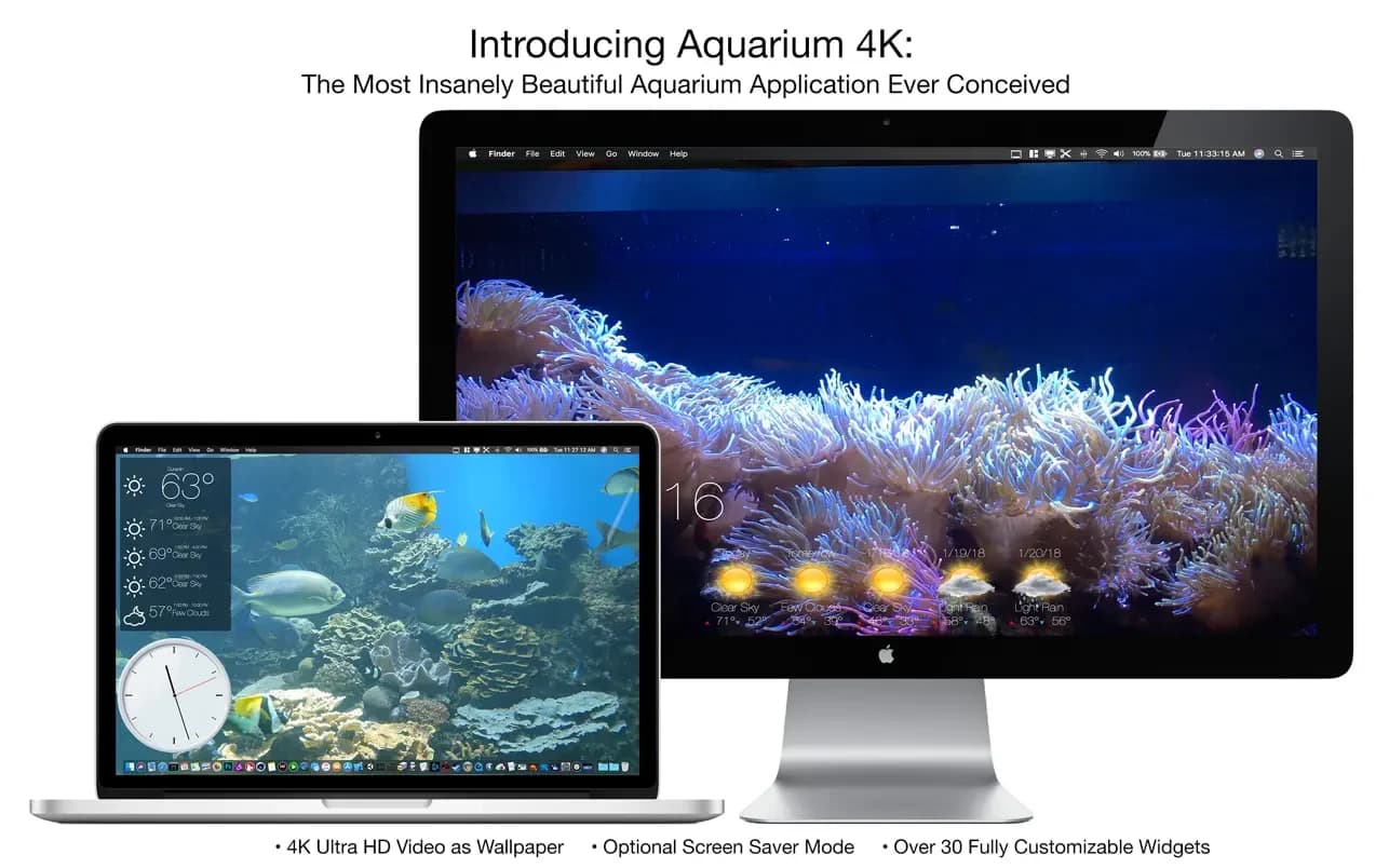 اسکرینشات 1 Aquarium 4K