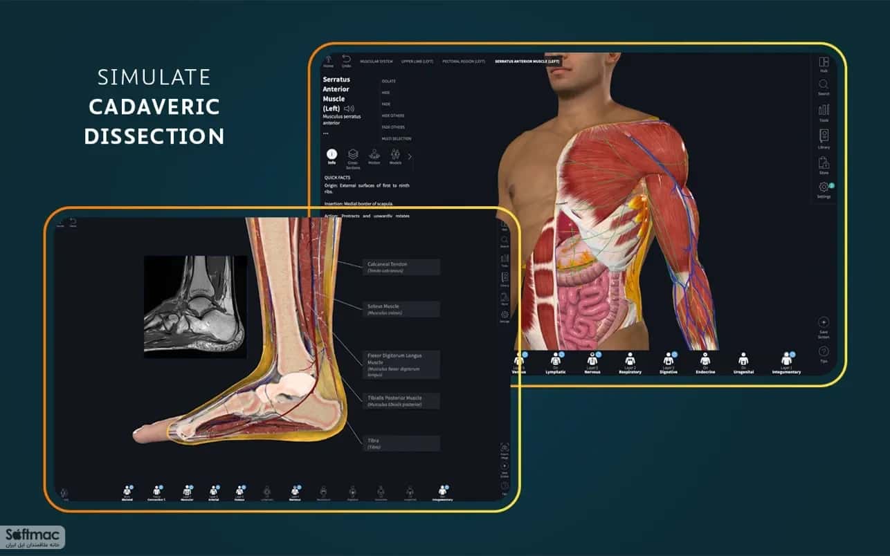 اسکرینشات 4 Complete Anatomy