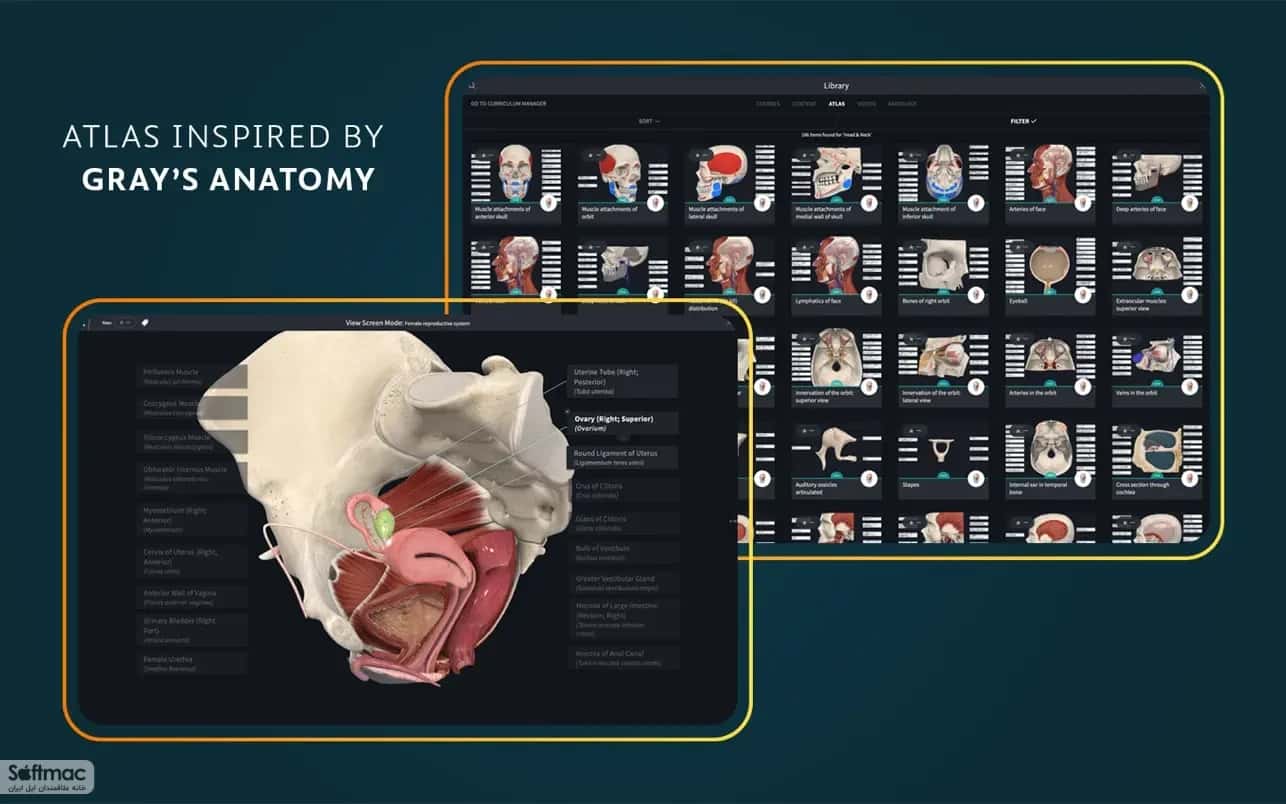 اسکرینشات 2 Complete Anatomy