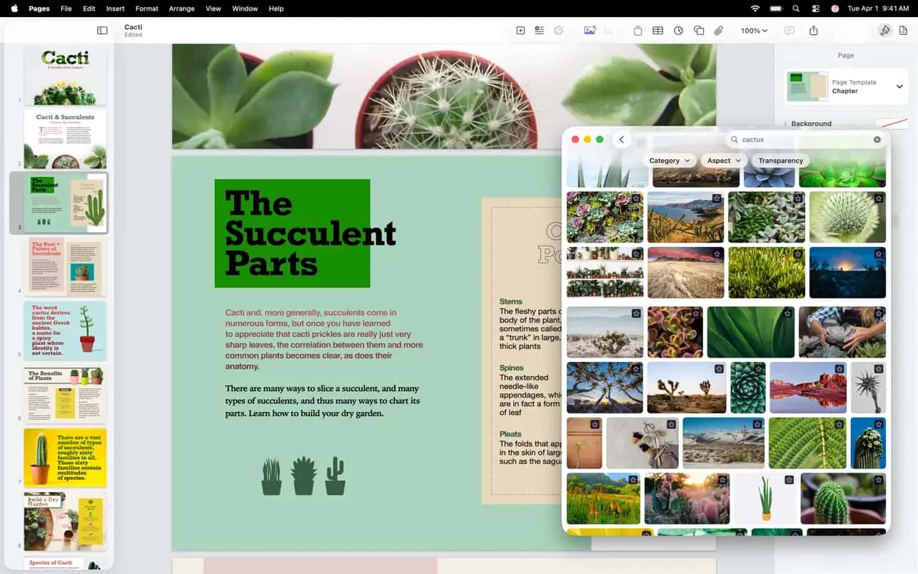 اسکرینشات 8 Pages Creator Studio