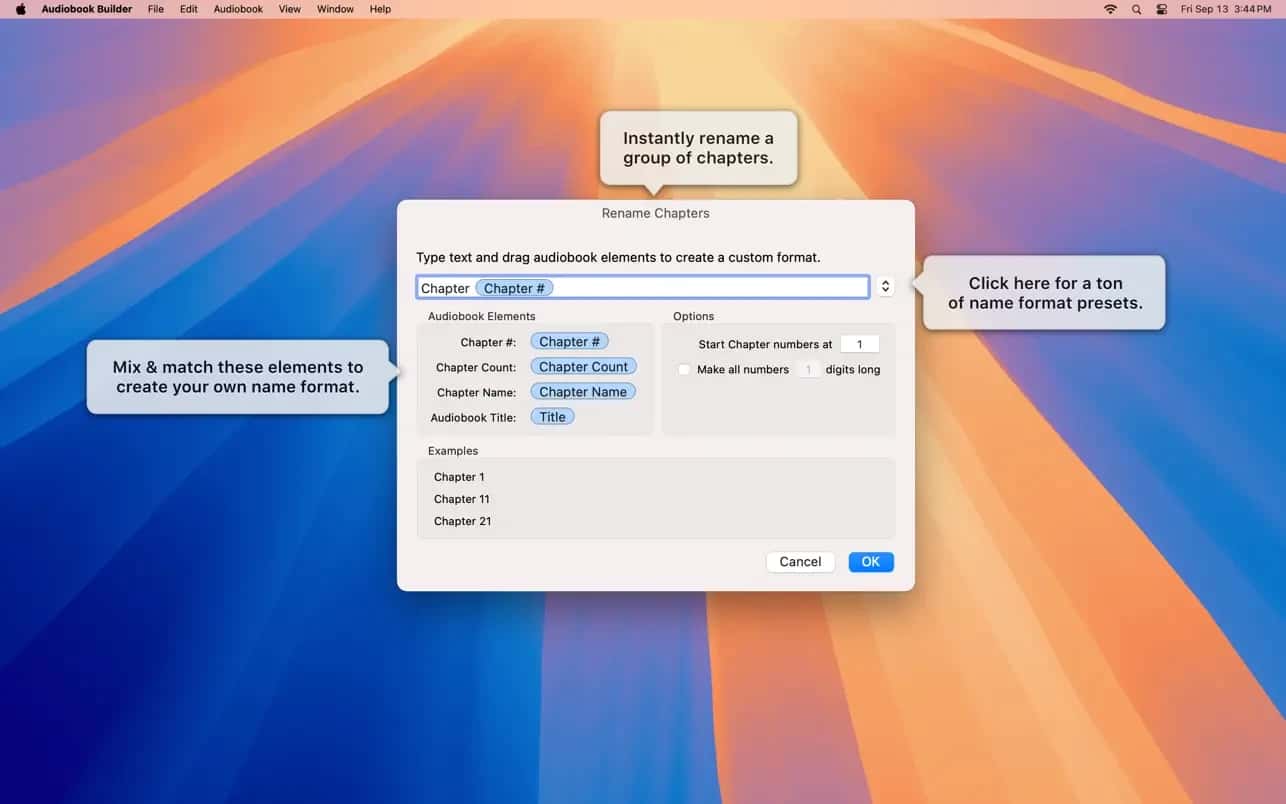اسکرینشات 6 Audiobook Builder