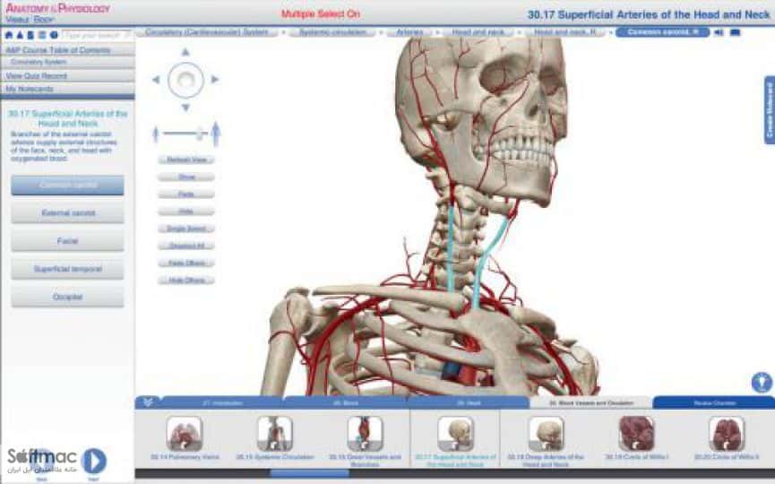 اسکرینشات 2 Anatomy and Physiology