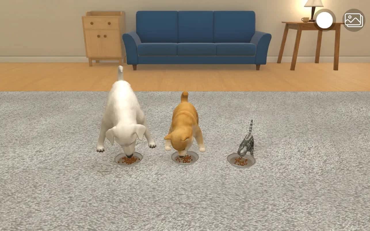 اسکرینشات 3 with My Buddy