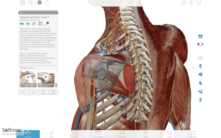 اسکرینشات 3 Visible Body Muscle Premium