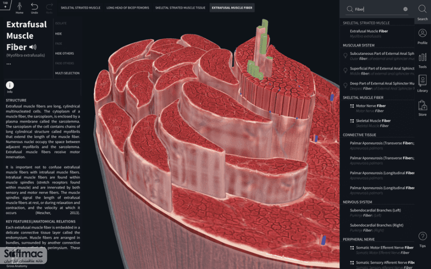 اسکرینشات 3 Complete Anatomy 2019