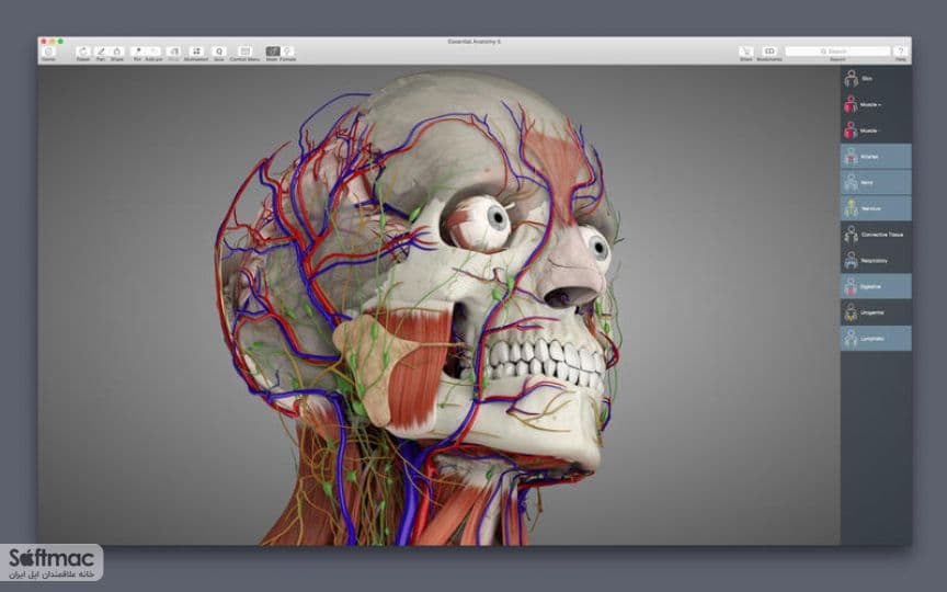 اسکرینشات 1 Essential Anatomy