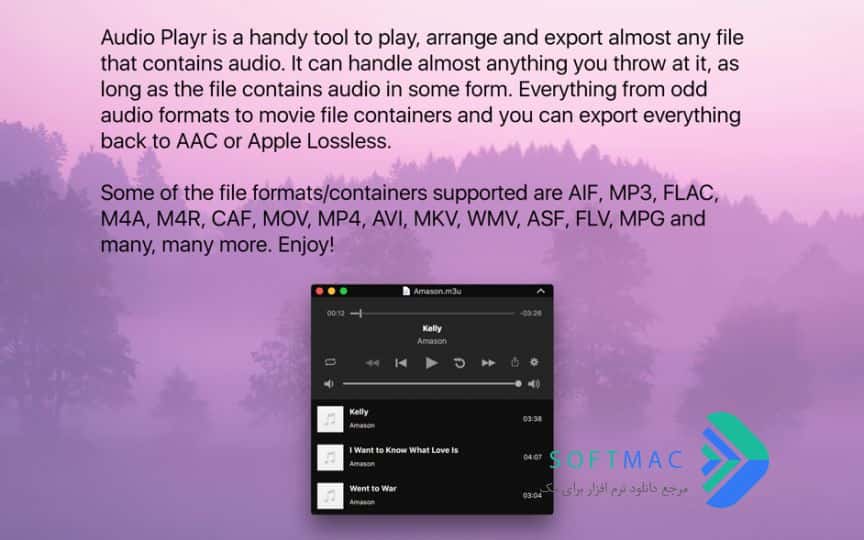 اسکرینشات 2 Audio Playr