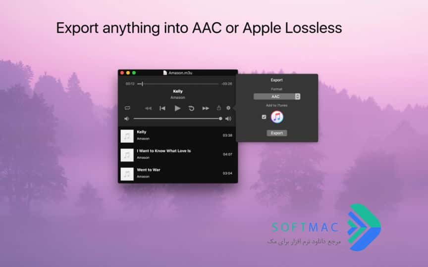 اسکرینشات 3 Audio Playr