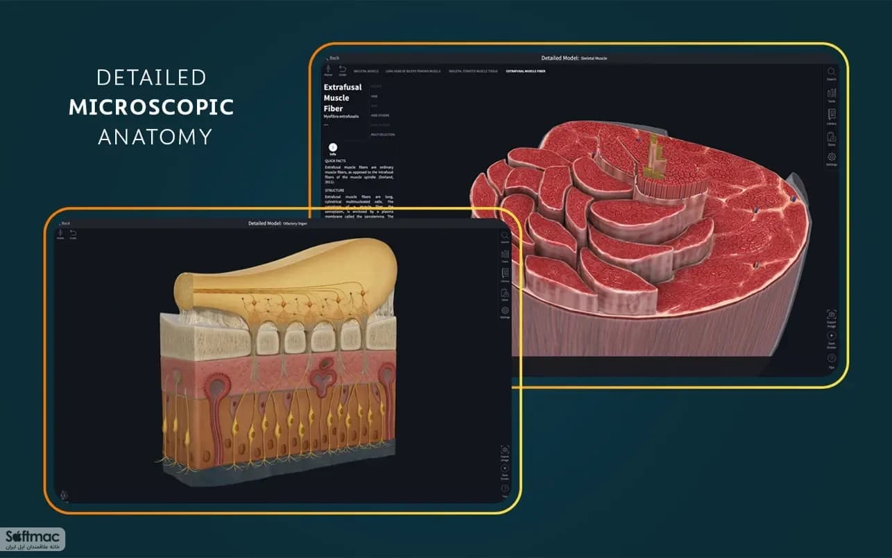 اسکرینشات 1 Complete Anatomy