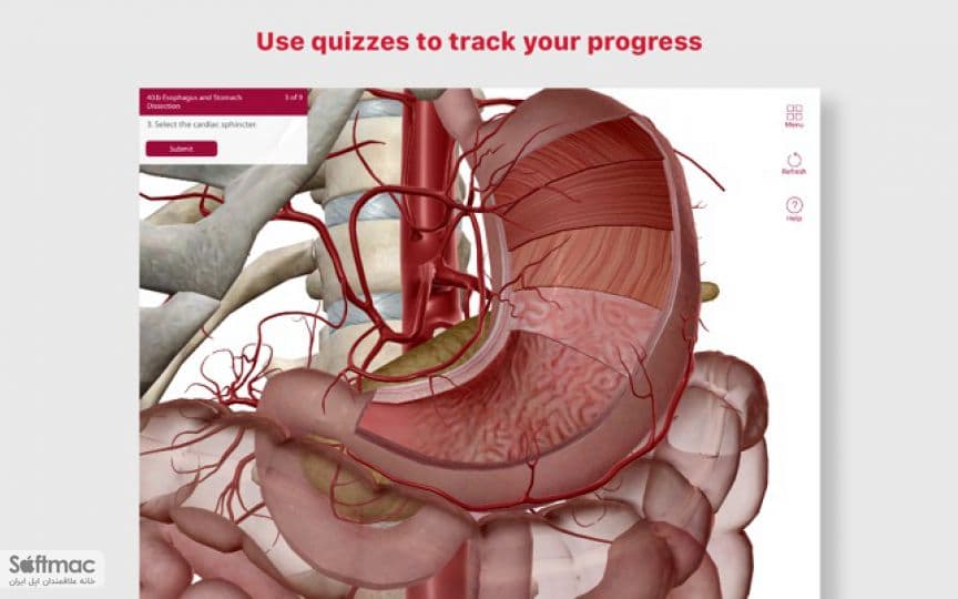اسکرینشات 1 Anatomy and Physiology