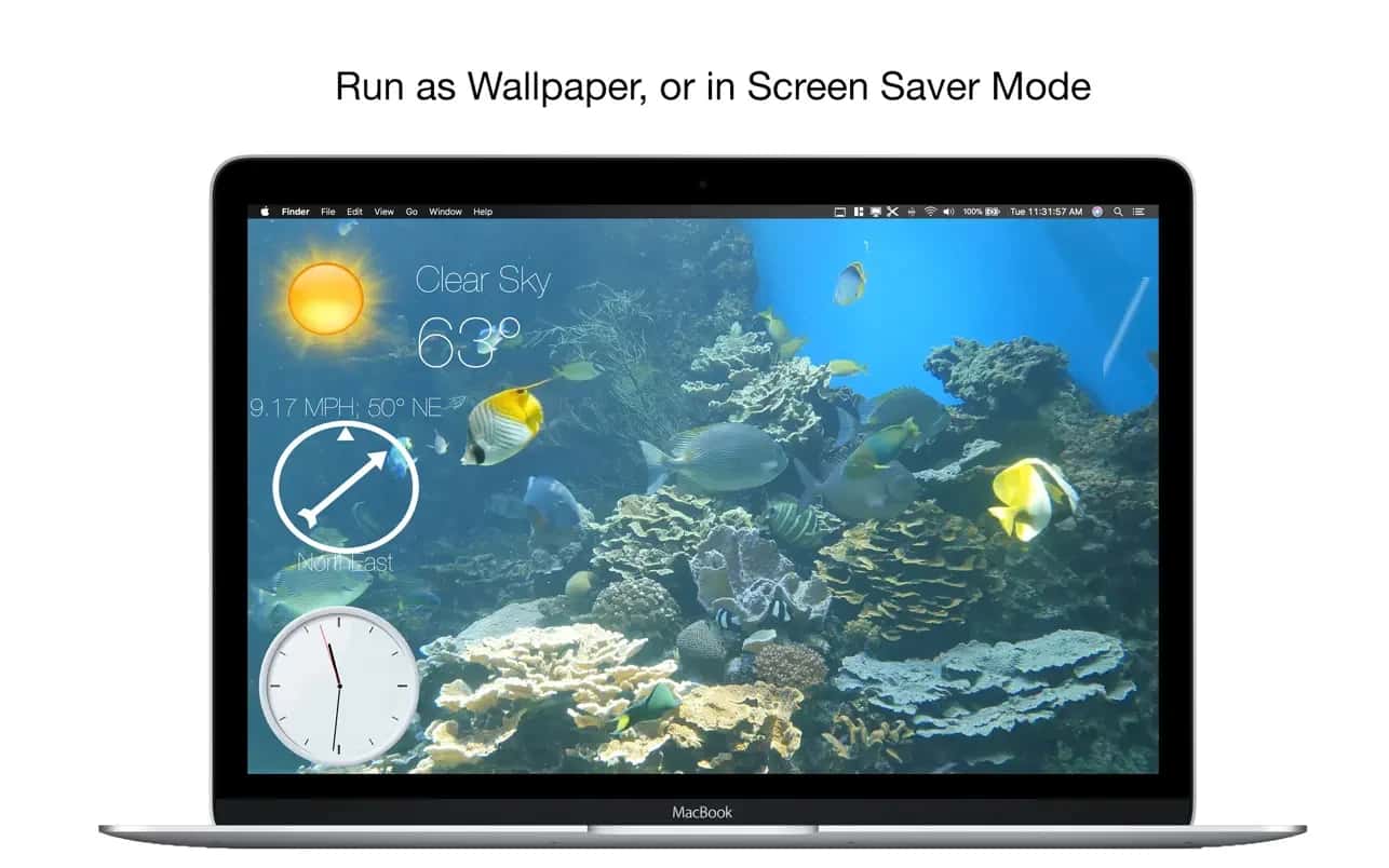 اسکرینشات 4 Aquarium 4K