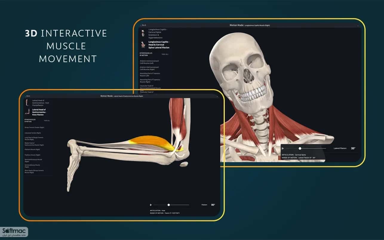 اسکرینشات 3 Complete Anatomy