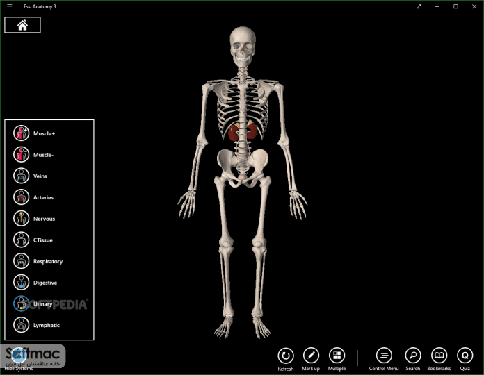 اسکرینشات 2 Essential Anatomy