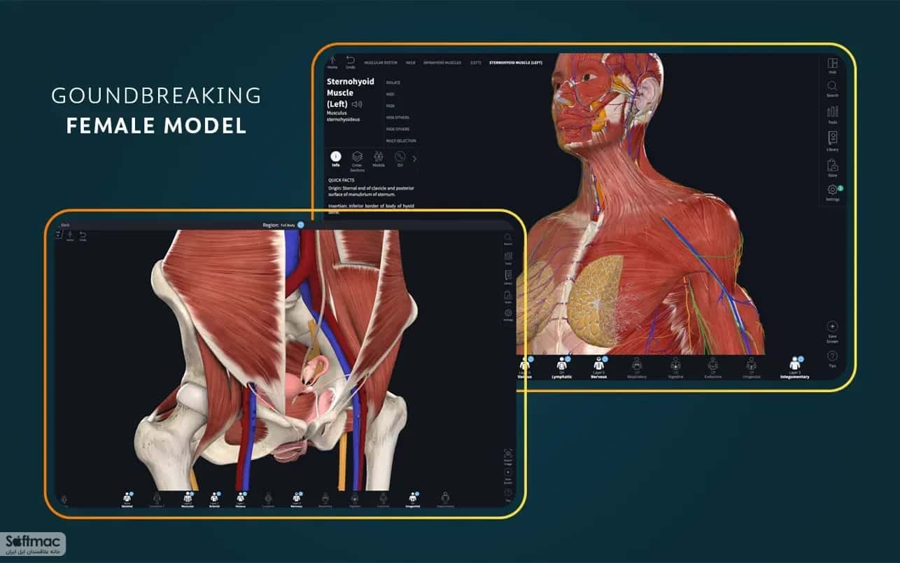 اسکرینشات 5 Complete Anatomy