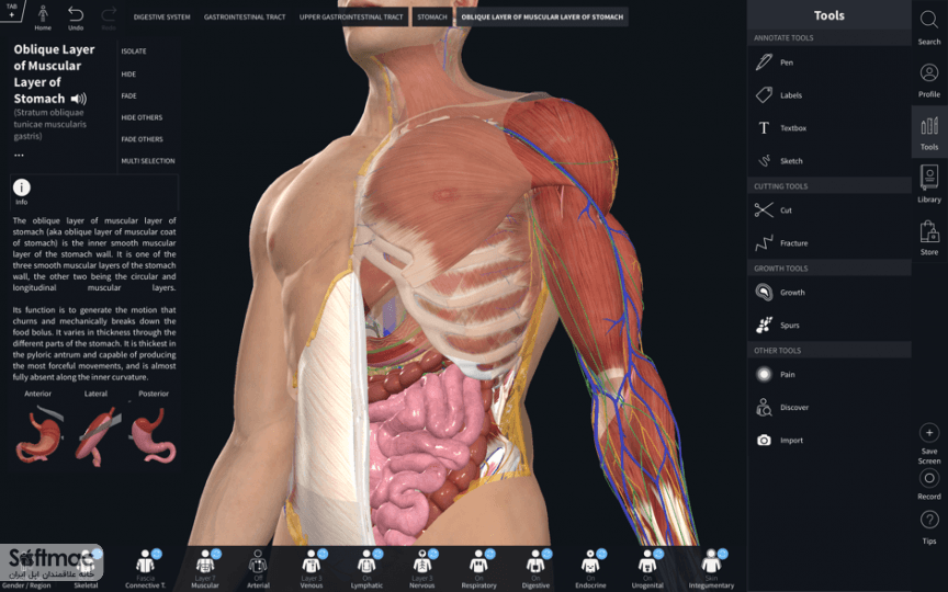 اسکرینشات 1 Complete Anatomy 2019