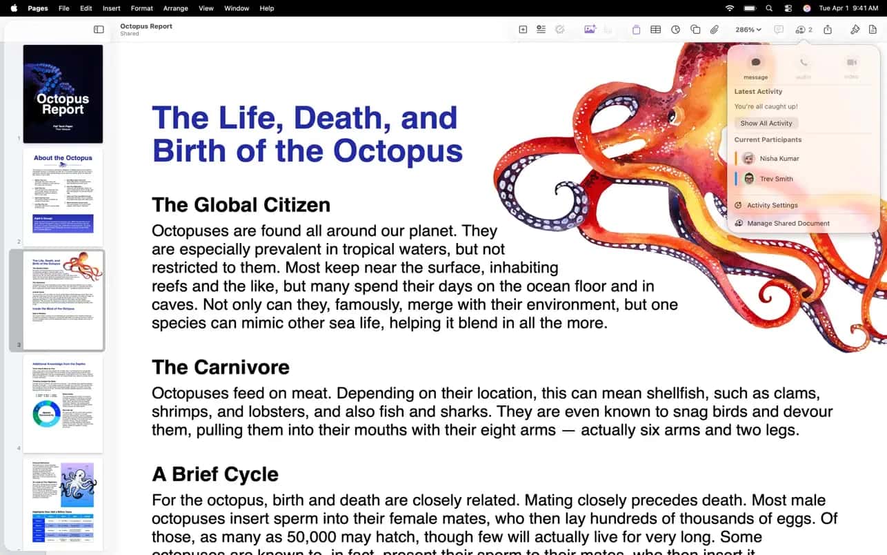اسکرینشات 6 Pages Creator Studio