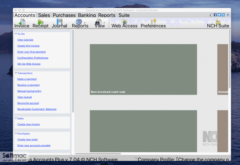 اسکرینشات 1 NCH Express Accounts Plus