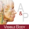 دانلود برنامه Anatomy and Physiology نسخه 3.0.17