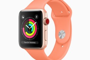 apple-watch-activity-rings-100766799-medium