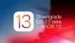 نحوه بازگشت از iOS 13.1 بتا به نسخه های قبلی iOS