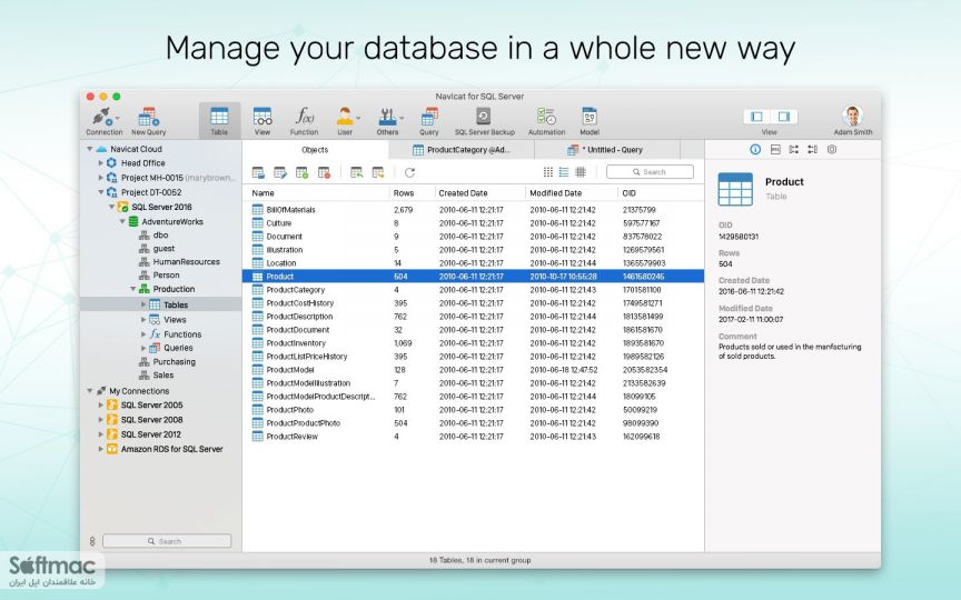 database management with navicat for sql server pdf